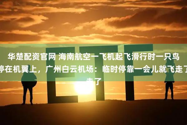 华楚配资官网 海南航空一飞机起飞滑行时一只鸟停在机翼上，广州白云机场：临时停靠一会儿就飞走了
