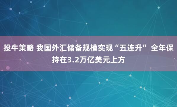 投牛策略 我国外汇储备规模实现“五连升” 全年保持在3.2万亿美元上方