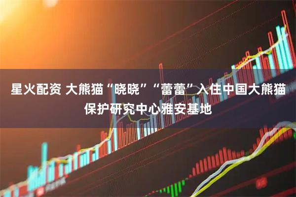 星火配资 大熊猫“晓晓”“蕾蕾”入住中国大熊猫保护研究中心雅安基地