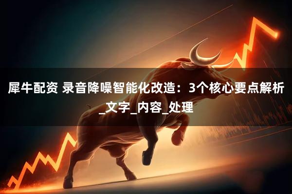 犀牛配资 录音降噪智能化改造：3个核心要点解析_文字_内容_处理