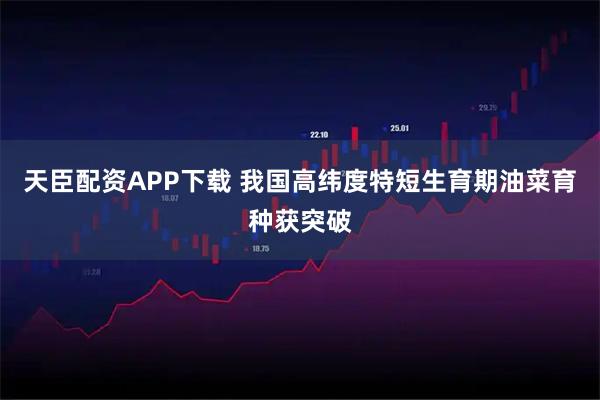 天臣配资APP下载 我国高纬度特短生育期油菜育种获突破